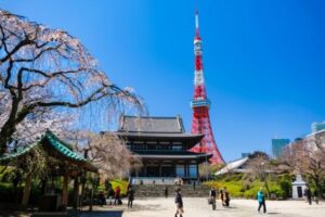 Read more about the article <strong>TOKYO TOWER : MENGULIK DAN FAKTA YANG MENARIK</strong>