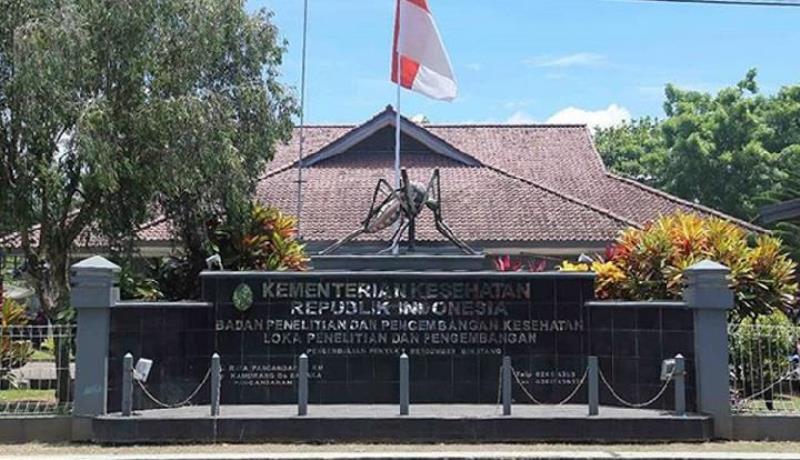 You are currently viewing MUSEUM NYAMUK: WISATA UNIK DAN EDUKATIF